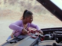 Couple enjoys car sex and blowjobs